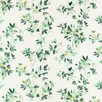 Elsi Canopy Curtains Elsi Canopy Curtains