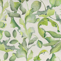 Claudia Cream Roman Blinds Claudia Cream Roman Blinds