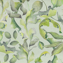 Claudia Sage Roman Blinds Claudia Sage Roman Blinds