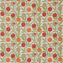 Blomma Tangerine Chilli Citrus 120358 Apex Curtains