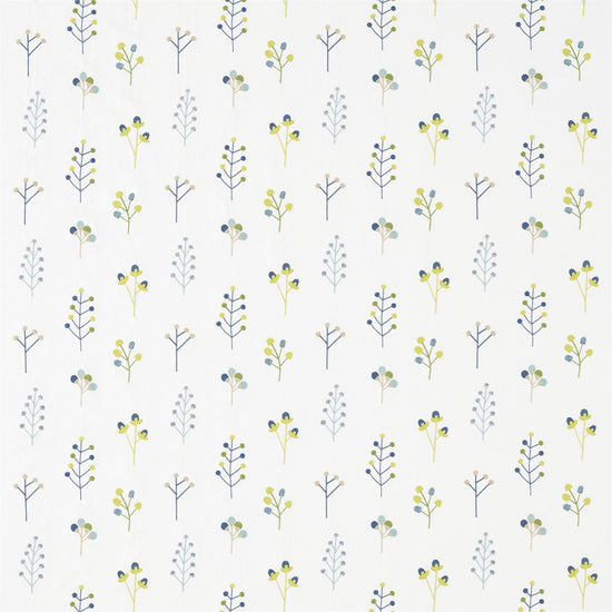 Mukula Gecko Citrus Pacific 132155 Samples