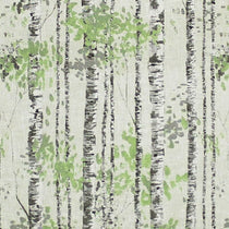 Birch Sage Roman Blinds