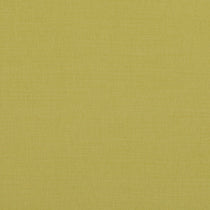 Linara Dandelion Apex Curtains Linara Dandelion Apex Curtains