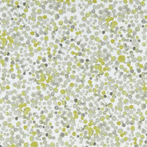 Lugar Chartreuse Box Seat Covers Lugar Chartreuse Box Seat Covers
