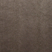 Allegra Velvet Truffle Fabric by the Metre