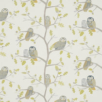Little Owls Kiwi 120935 Cushions Little Owls Kiwi 120935 Cushions