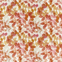 Expose 120969 Roman Blinds Expose 120969 Roman Blinds