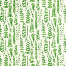 Ferns Juniper 121031 Roman Blinds Ferns Juniper 121031 Roman Blinds