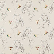 Amazilia Ecru 120980 Fabric by the Metre