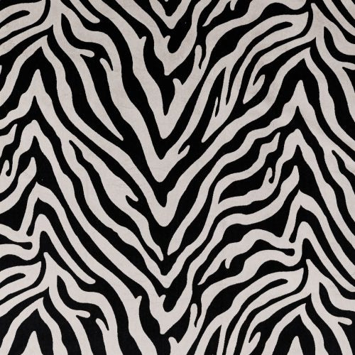 Eva Zebra Samples
