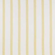 Newport Citrus Roman Blinds Newport Citrus Roman Blinds