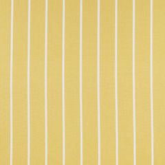 Waterbury Citrus Curtain Tie Backs