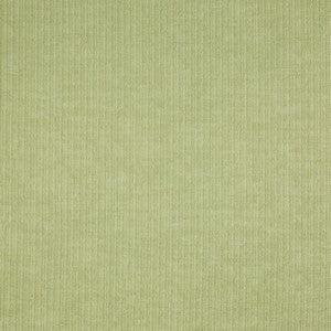 Spencer Willow Samples