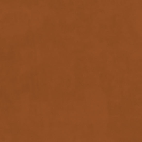 Plush Velvet Burnt Valances