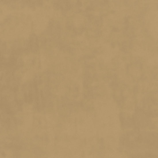 Plush Velvet Cafe Shoe Storage