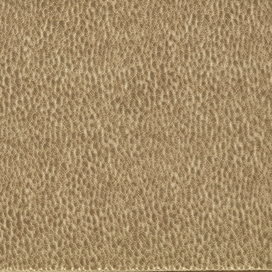 Lacuna Taupe 134035 Fabric by the Metre
