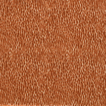 Lacuna Tiger 134034 Upholstered Pelmets Lacuna Tiger 134034 Upholstered Pelmets