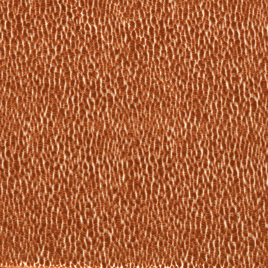 Lacuna Tiger 134034 Fabric by the Metre