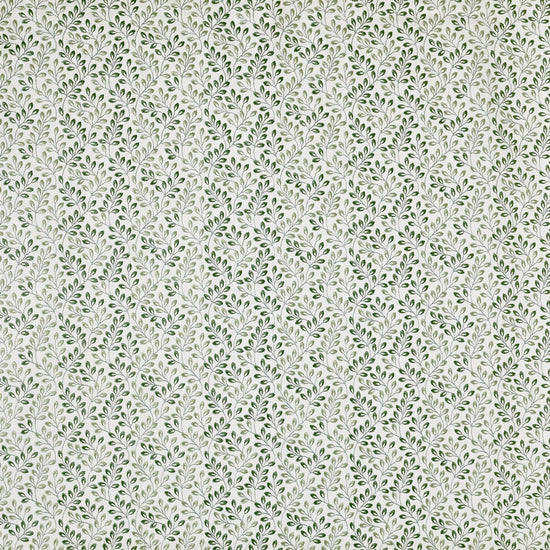 Fitzrovia Laurel Samples