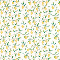 Lemon Tree Lemon Bayleaf 226909 Roman Blinds