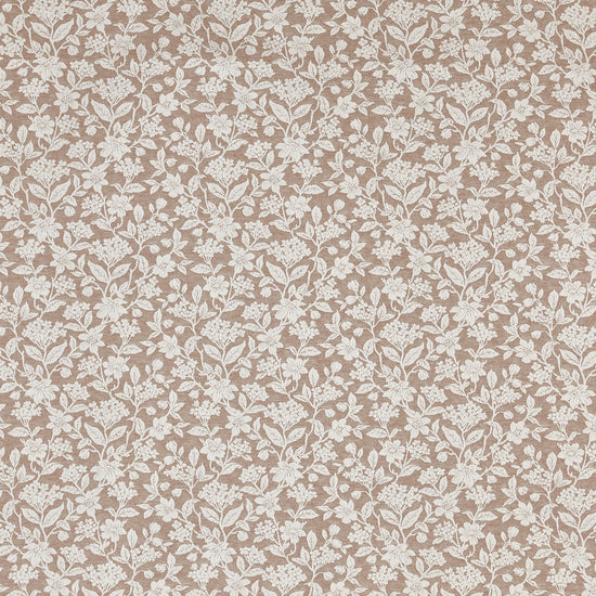 Rosana Apricot Samples