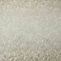 Cassia Champagne Cushions