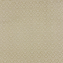 Felix Champagne Curtains