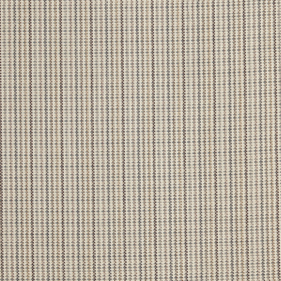 Alwin Bear Apex Curtains