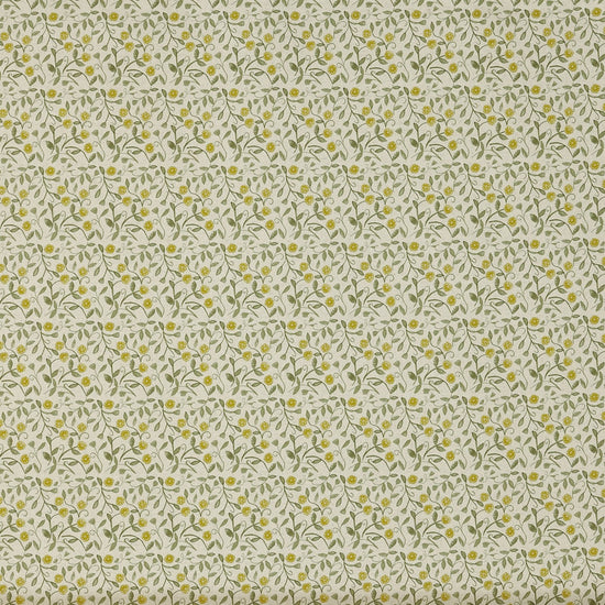 Barbara Cucumber Apex Curtains