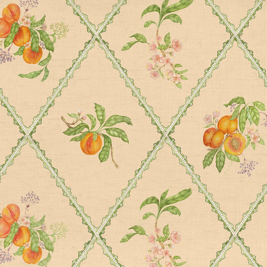 Peach Trellis Printed Cotton Melba Shoe Storage