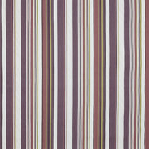 Chiara Fig Roman Blinds