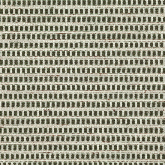 Gilman Kelp Curtains