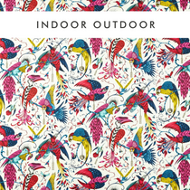 Audubon Indoor  Multi Tablecloths