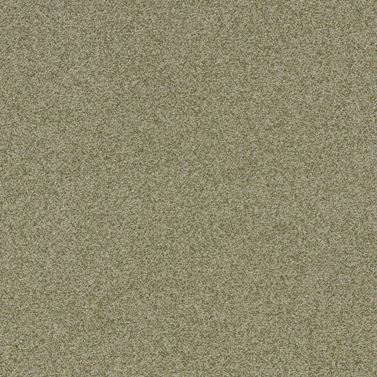 Ezri Willow Curtains