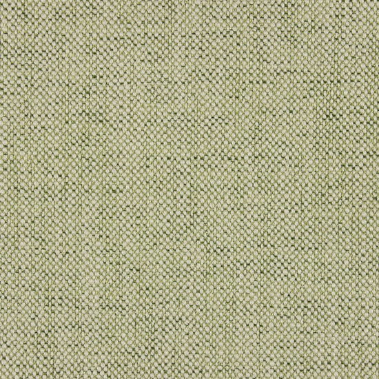 Clovelly Fern Curtains