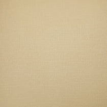 Allure Creme Curtains