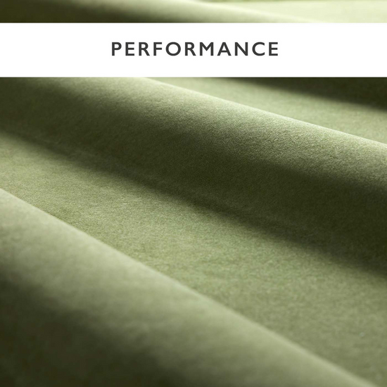 Heatherton Stain Resist Velvet Fern Cushions