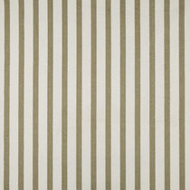 Solara Cedar Fabric by the Metre