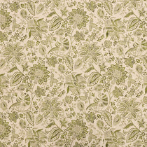 Asha Moss Roman Blinds