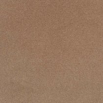 Studio Velvet Mink Curtains