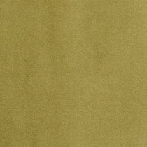 Studio Velvet Olive Curtains