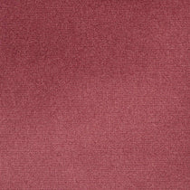 Studio Velvet Tulip Curtains