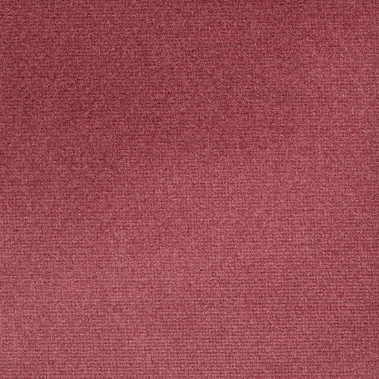 Studio Velvet Tulip Apex Curtains