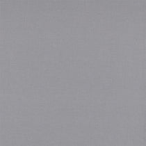 Liana Silver Curtains