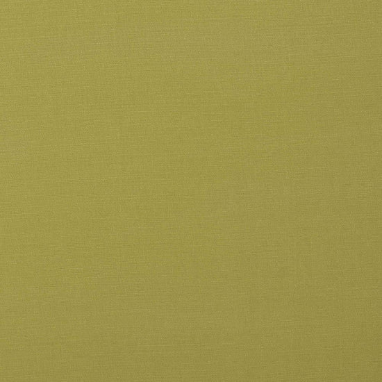 Carrera Ochre Samples