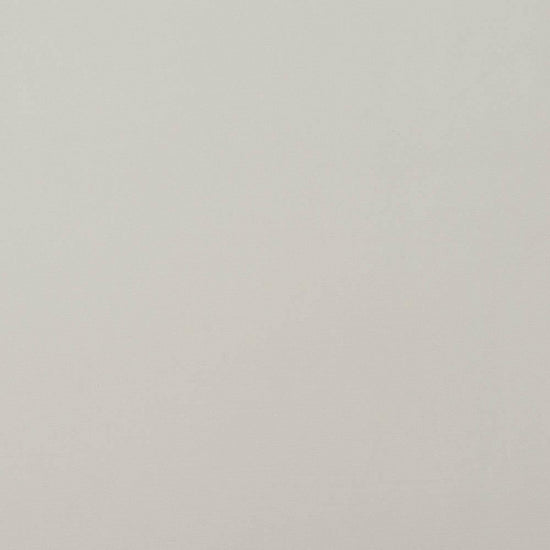 Carrera White Samples