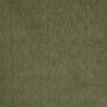 Charlton Asparagus Roman Blinds