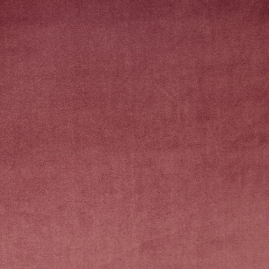 Velour Rosebud Fabric by the Metre