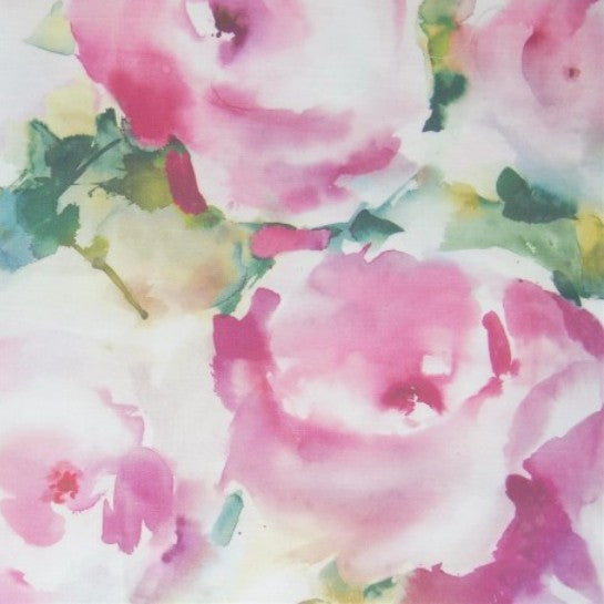 Rosa Peony Samples