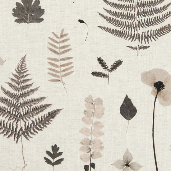 Herbarium Charcoal Natural Valances